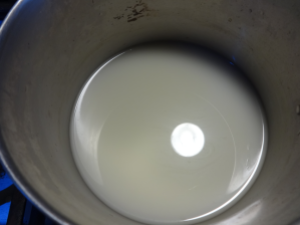 Coconut Milk in Pot.