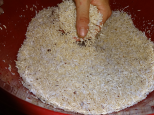 Mixing the coconut, rice koji and salt.