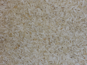 Colonised Rice Grains...not quite ready.