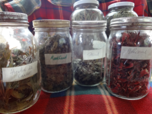 More Jars of Herbs.