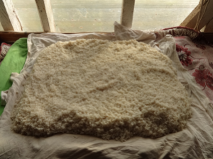 Overnight-soaked rice being drained thoroughly.