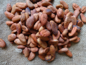 Dried Fermented Cacao Beans.