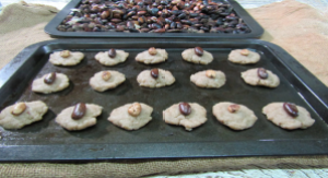 Cacao Butter Cookies with Roasted Beans Behind.